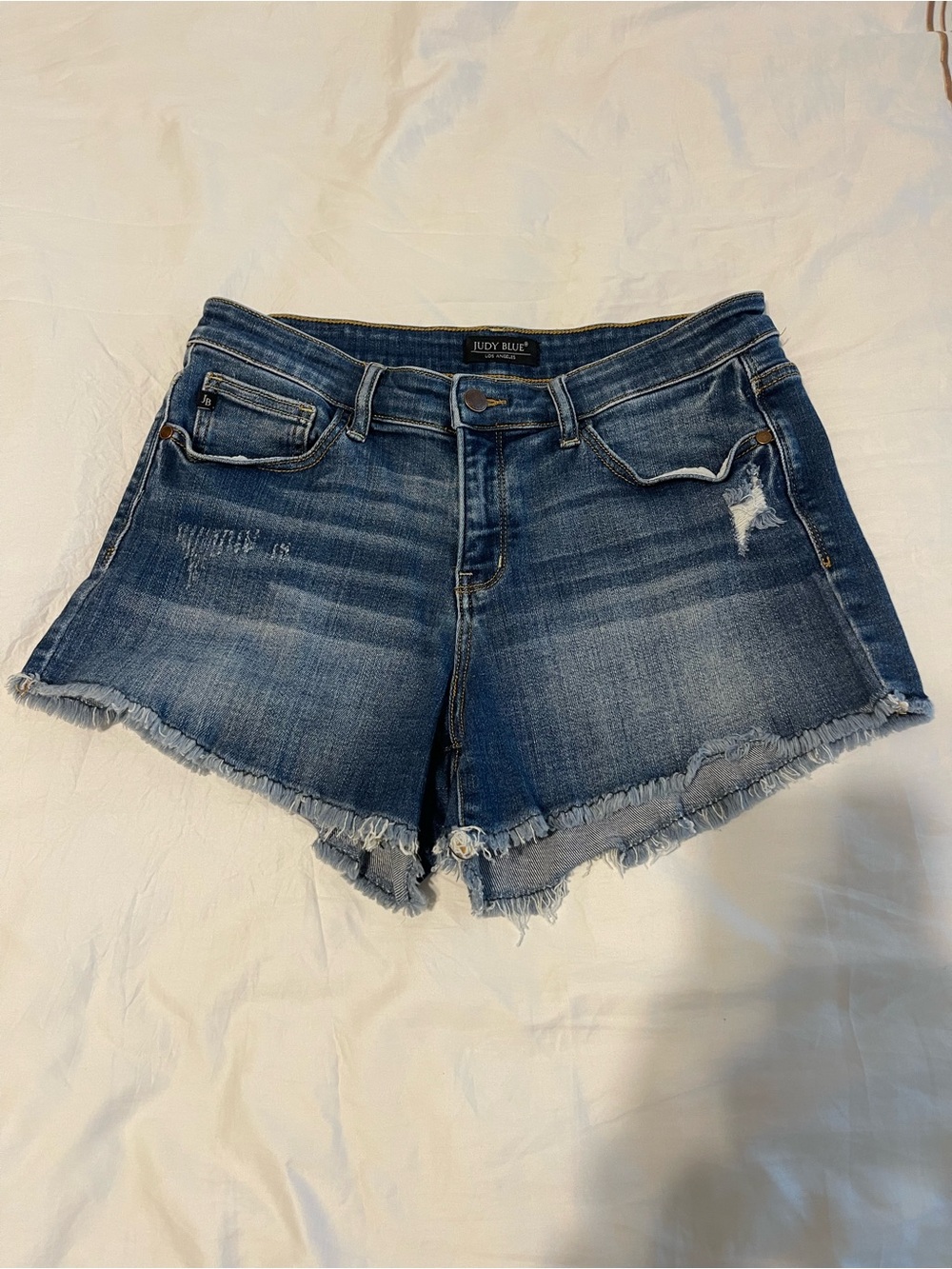 Judy Blue Blue Distressed Frayed Hem Denim Shorts